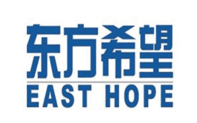 東方希望集團：助力跨境企業建立全業務管控平台