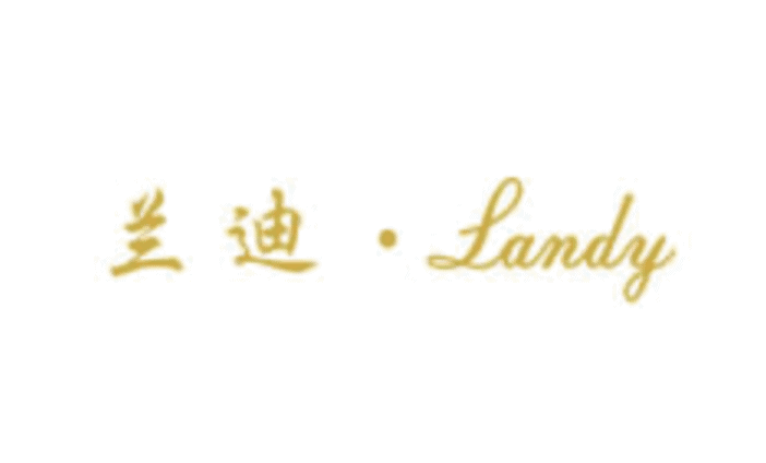 yonyou-landy-industry-case-logo-用友-蘭迪鞋業