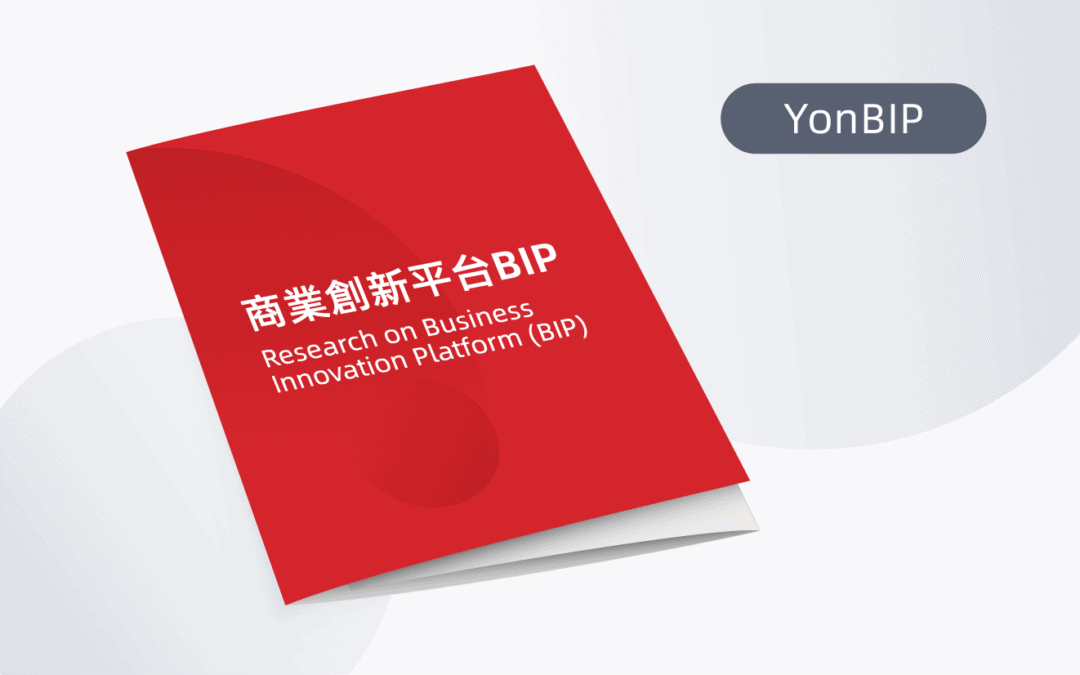White Paper on Business Innovation Platform (BIP)