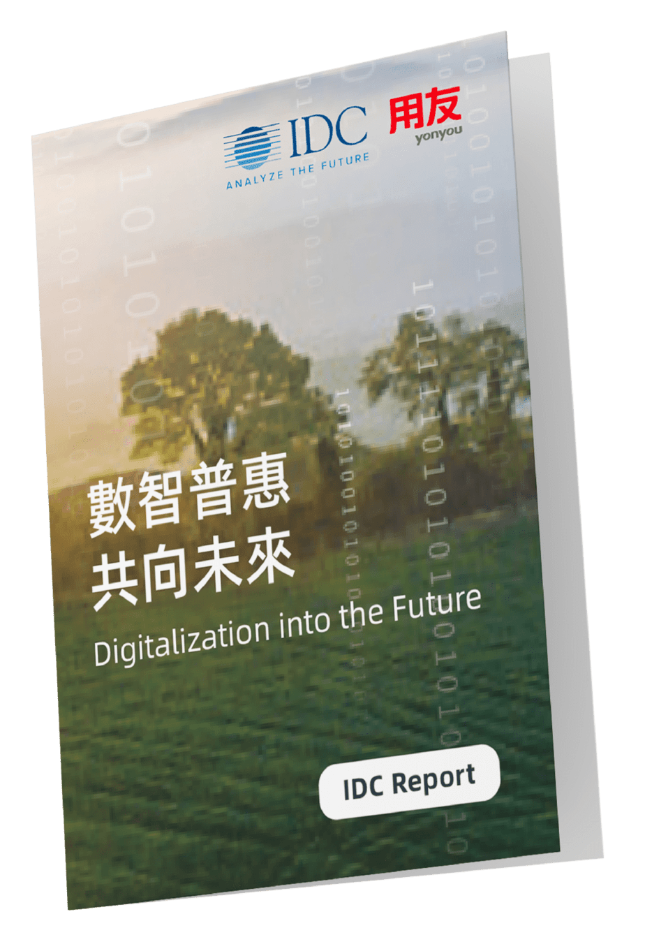 2022 Yonyou IDC Whitepaper 用友白皮書-01 2022 Yonyou IDC Whitepaper 用友白皮書-01