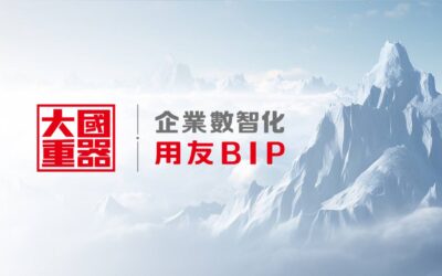 新華網 : ERP企業軟件用友BIP擔當價值化國產替代重任
