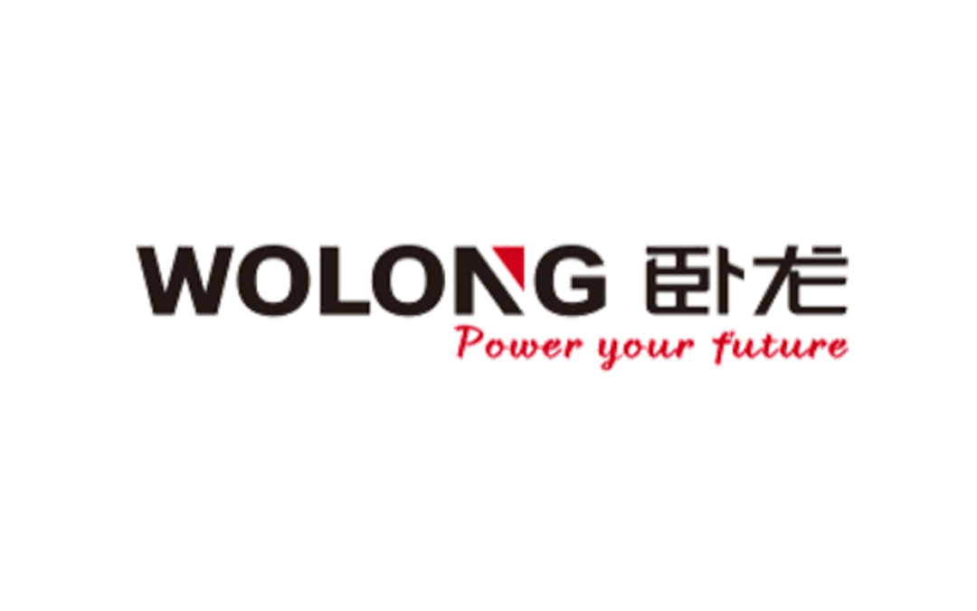 臥龍電驅：全球電驅領軍企業的端到端供應鏈管理