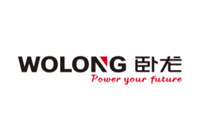 臥龍電驅：全球電驅領軍企業的端到端供應鏈管理